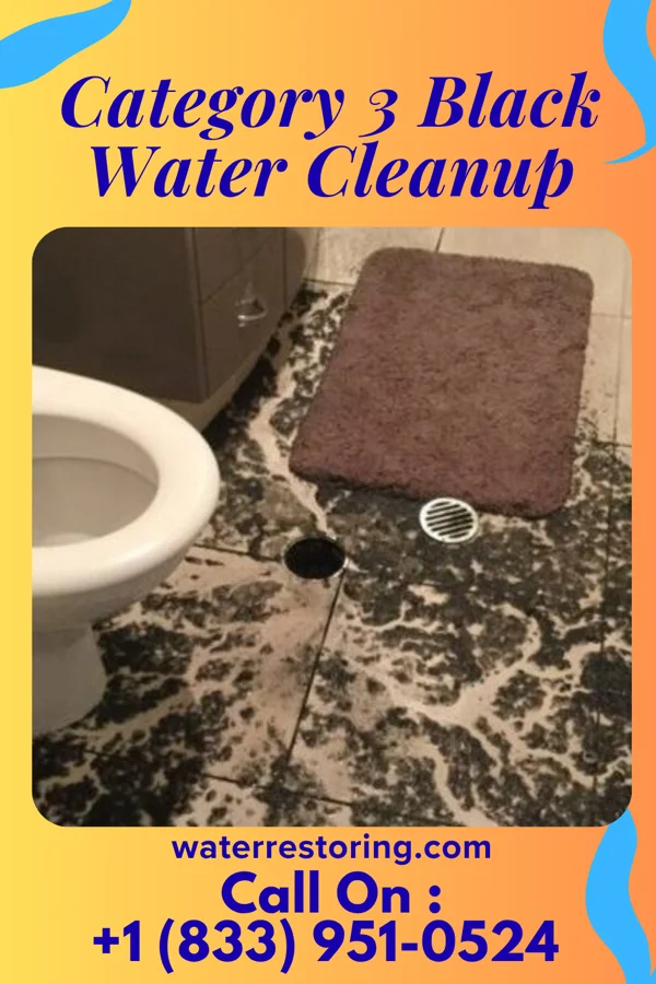 Category 3 Black Water Cleanup in Ellport, PA