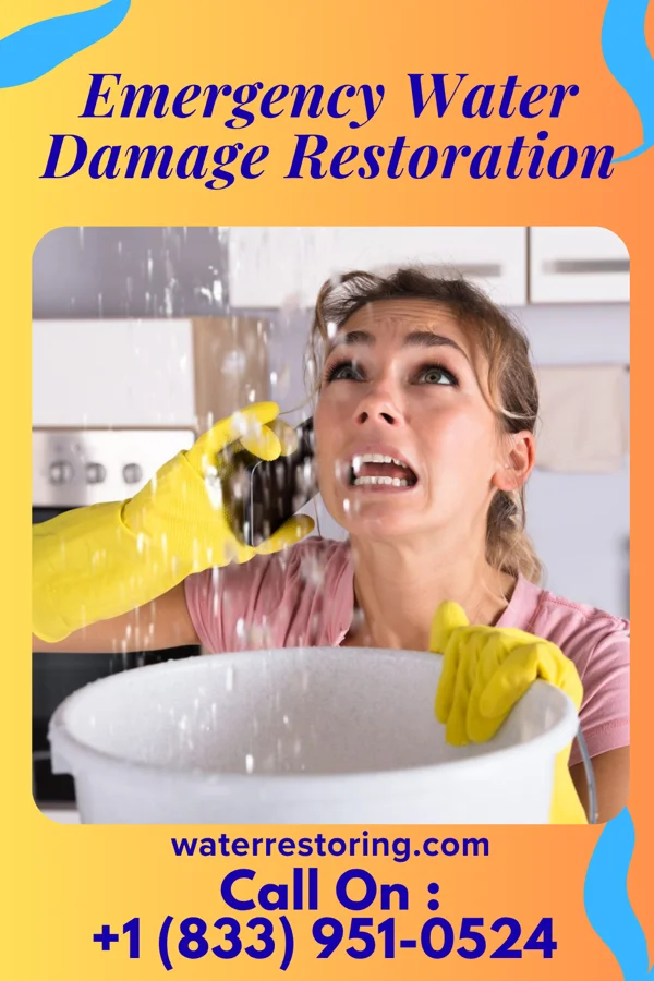 Emergency Water Damage Restoration in Ellport, PA