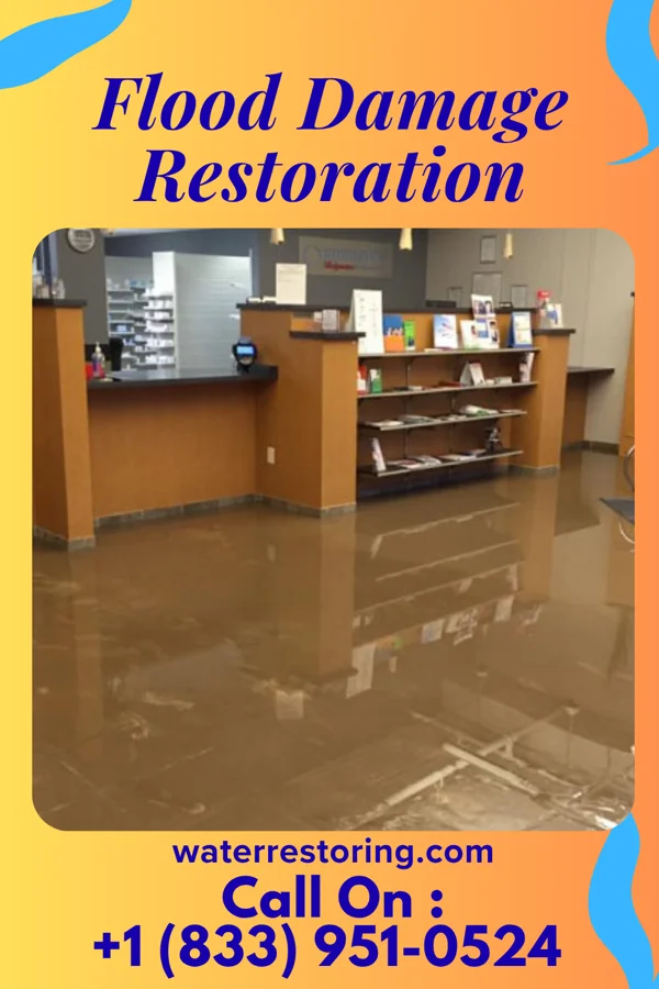 Flood Damage Restoration in Ellport, PA