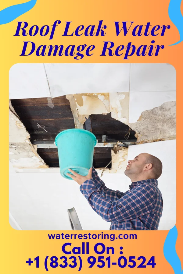 Roof Leak Water Damage Repair in Ellport, PA
